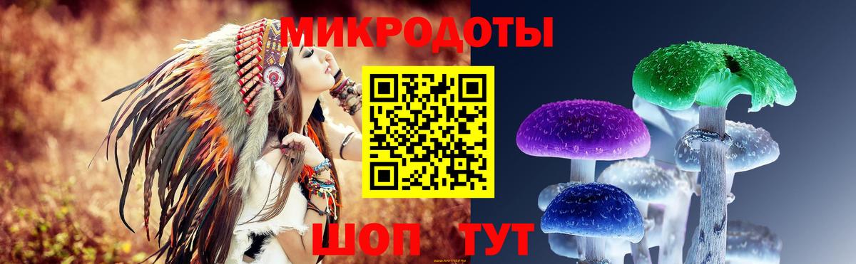 Псилоцибиновые грибы MAGIC MUSHROOMS Чернушка